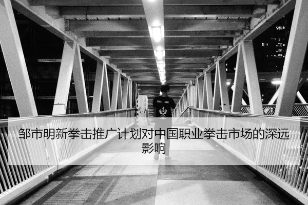 邹市明新拳击推广计划对中国职业拳击市场的深远影响